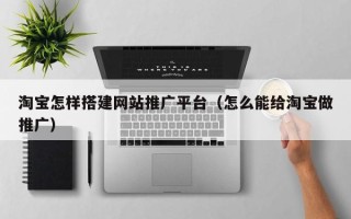 沈阳淘宝怎样搭建网站推广平台（怎么能给淘宝做推广）