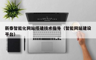 沈阳新泰智能化网站搭建技术指导（智能网站建设平台）
